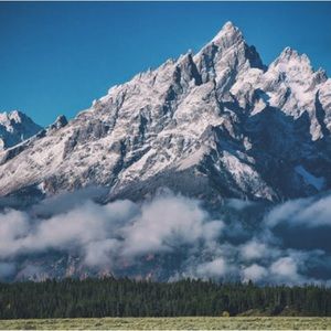 Meet your Posher, Mohammad